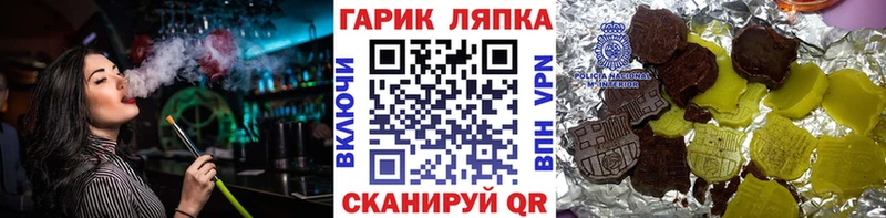 где найти наркотики  Каргополь  ГАШ hashish 