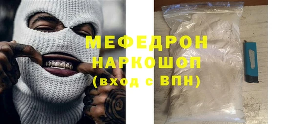 индика Надым