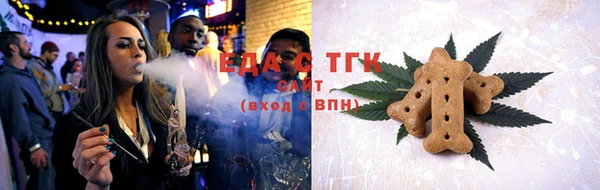 индика Надым