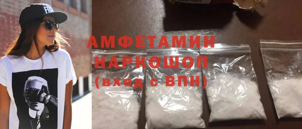 индика Надым