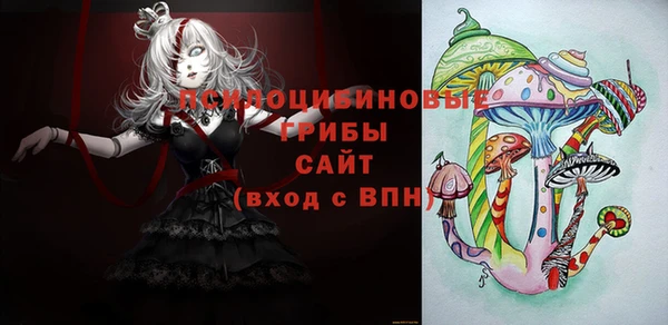 прущая мука Вязники